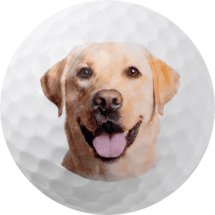 A close-up pet photo printed clearly on a golf ball