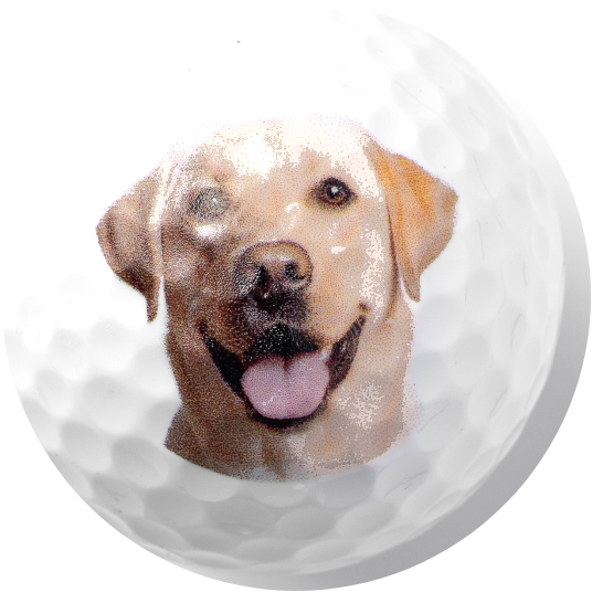 Golf ball printed with your dog photo